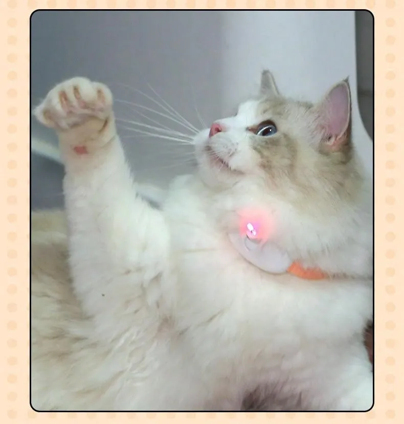 1pc Smart LED Laser Projection Collar Pet Toy - Hands-Free Toy For Cats To Play And Relieve Stress