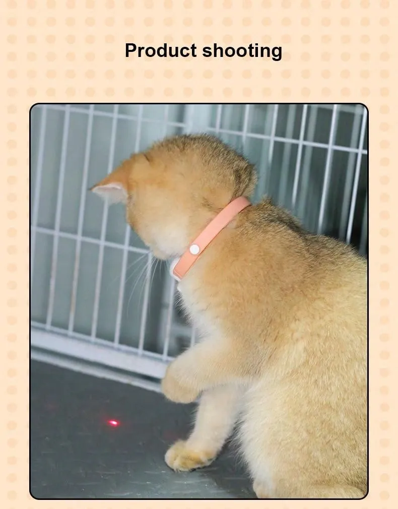 1pc Smart LED Laser Projection Collar Pet Toy - Hands-Free Toy For Cats To Play And Relieve Stress