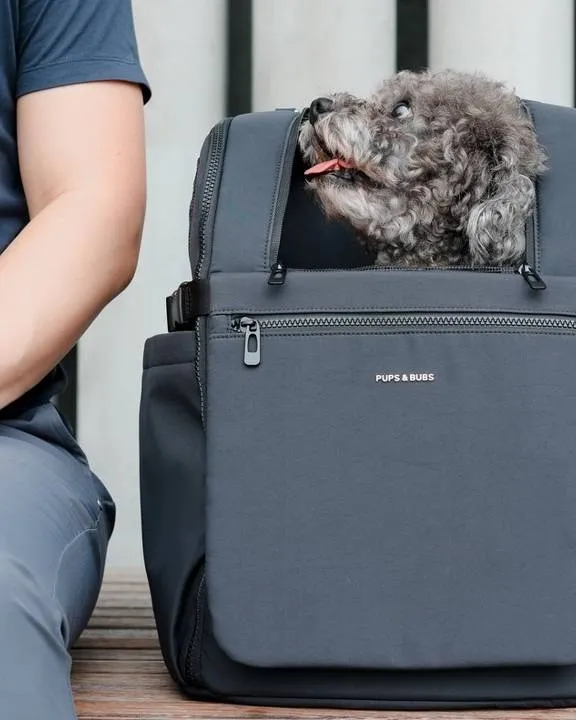 Adventure Awaits Black Pet Backpack