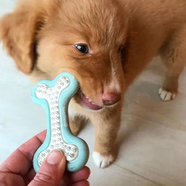 BEEZTEES Puppy Rubber Dental Bone