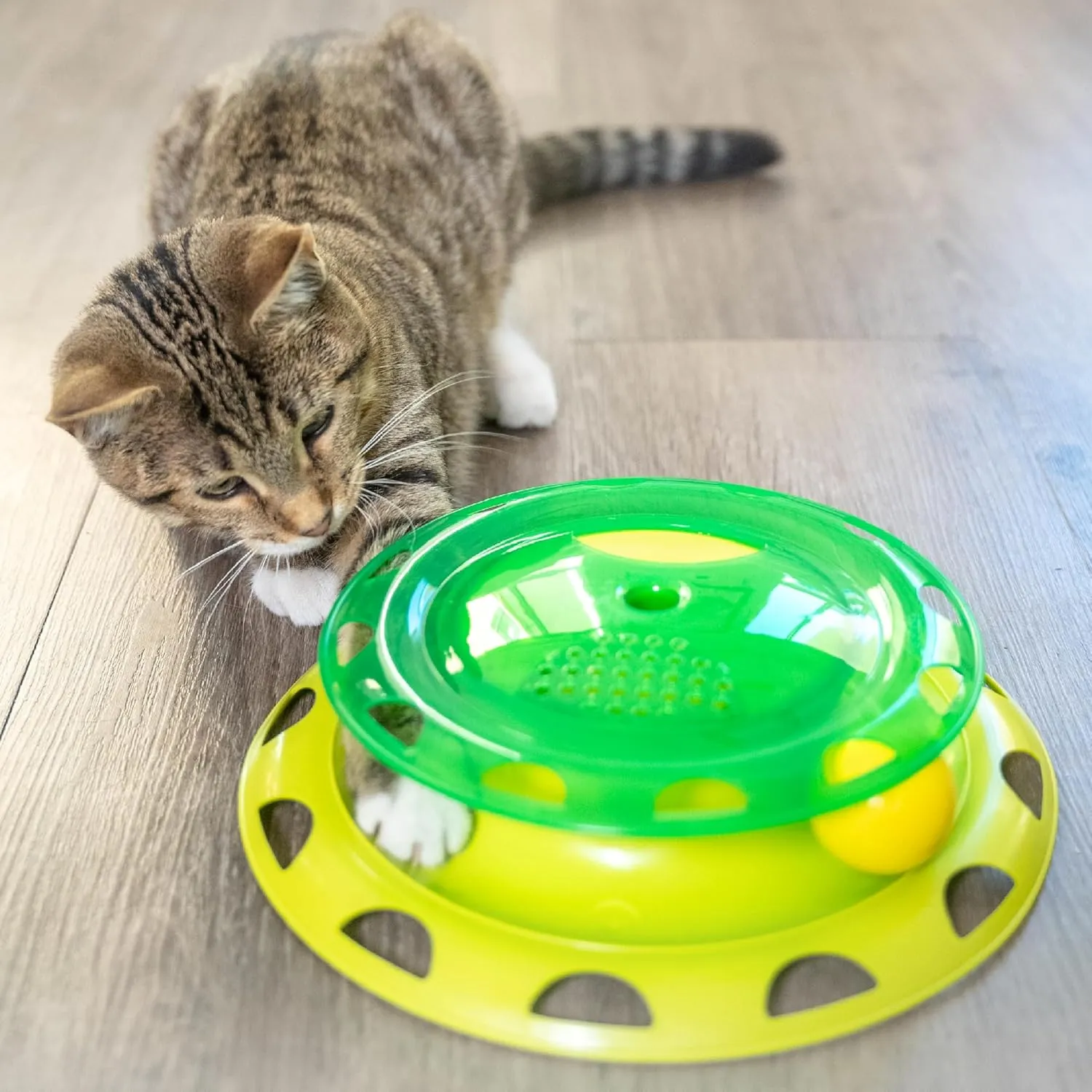 Catstages Catnip Chaser Track  Interactive Cat Toy with Catnip for Batting, Swatting, and Mental Stimulation, Green