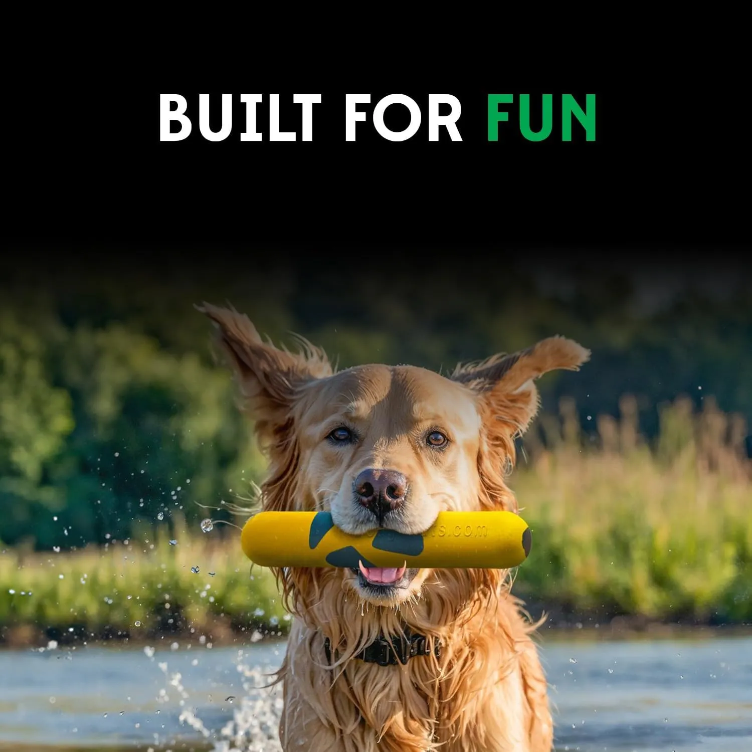 Goughnuts Medium Water Stick  Floating Dog Toys for Water Fetch, Interactive Heavy Duty Dog Pool Toy for Aggressive Chewers, Natural Reinforced Rubber Float, USA Made, 30-70 lbs Dogs