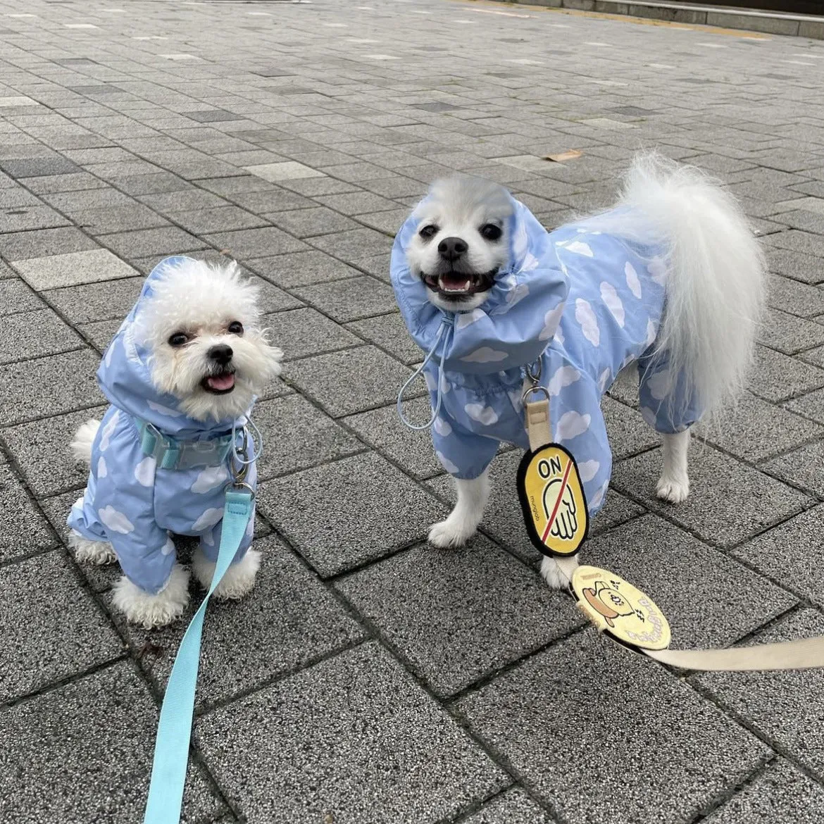 Heart/Cloud Printed Dog Cat Raincoat