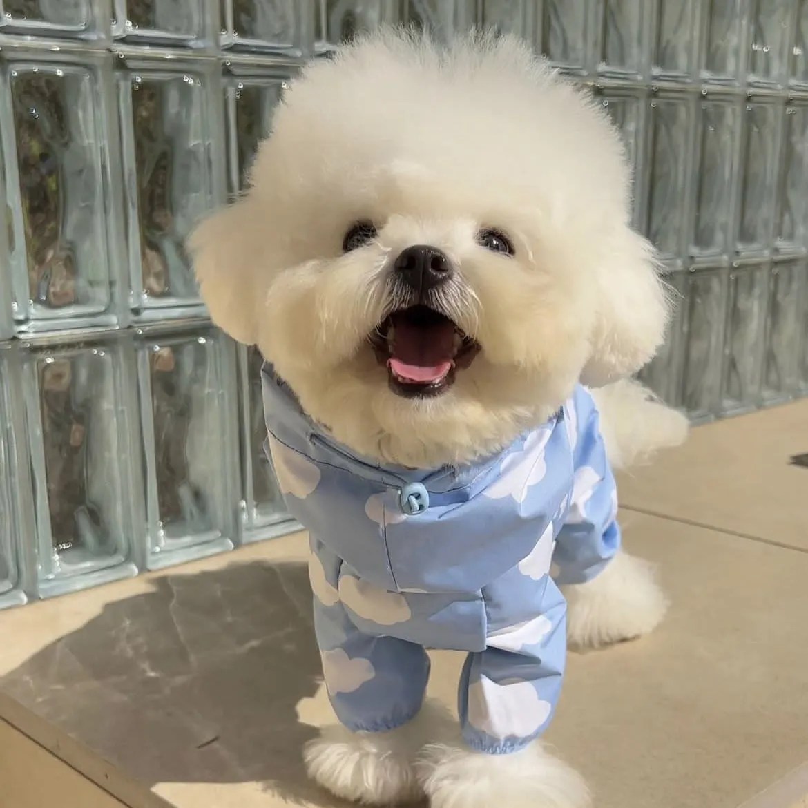 Heart/Cloud Printed Dog Cat Raincoat