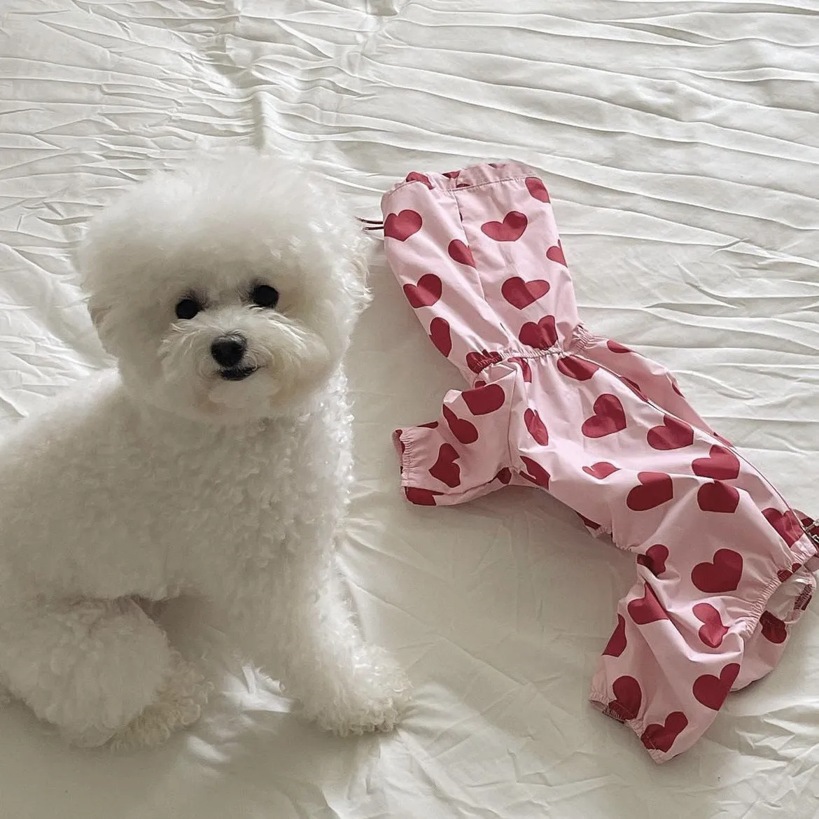 Heart/Cloud Printed Dog Cat Raincoat