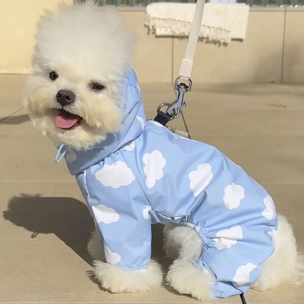Heart/Cloud Printed Dog Cat Raincoat