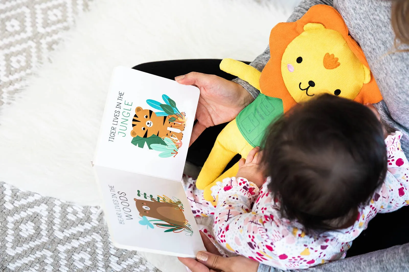 Lion Stuffed Animal Toy and Board Book Gift Set