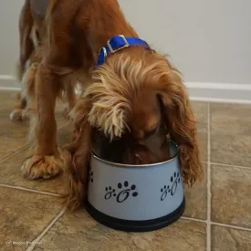 Maslow Non-Skid Dry Ears Bowl