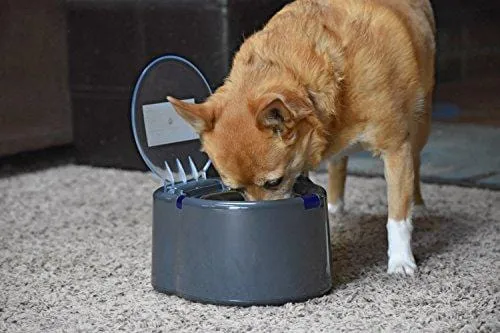 Our Pets Smart Link Intelligent Pet Care Selective Feeder Automatic Pet Bowl