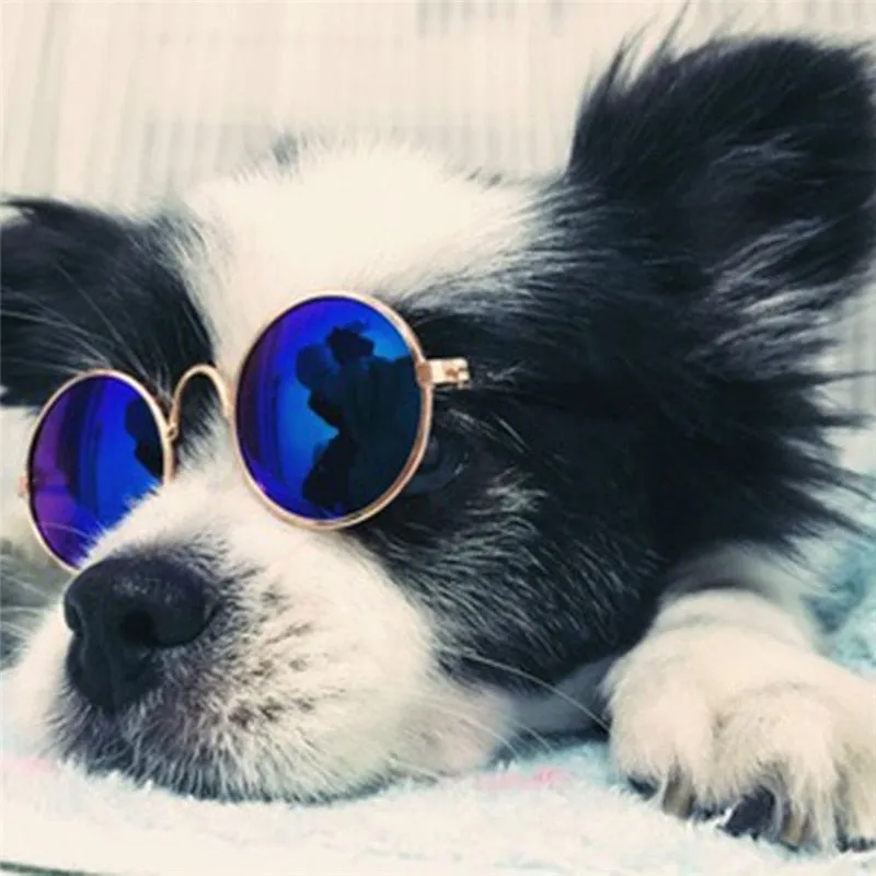 Pawnnies Pink Sunglasses