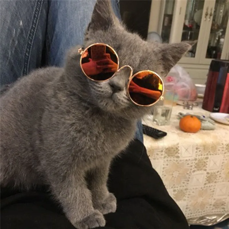 Pawnnies Pink Sunglasses