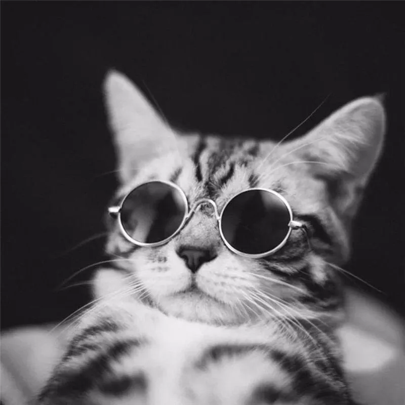 Pawnnies Pink Sunglasses