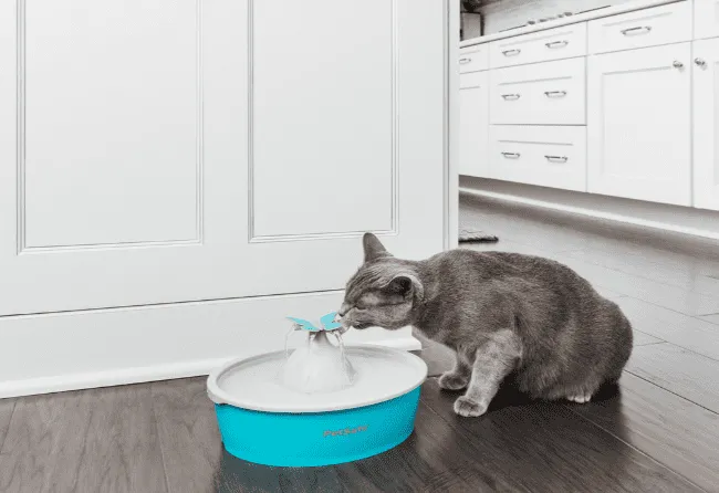 PetSafe Drinkwell Butterfly Cat Fountain