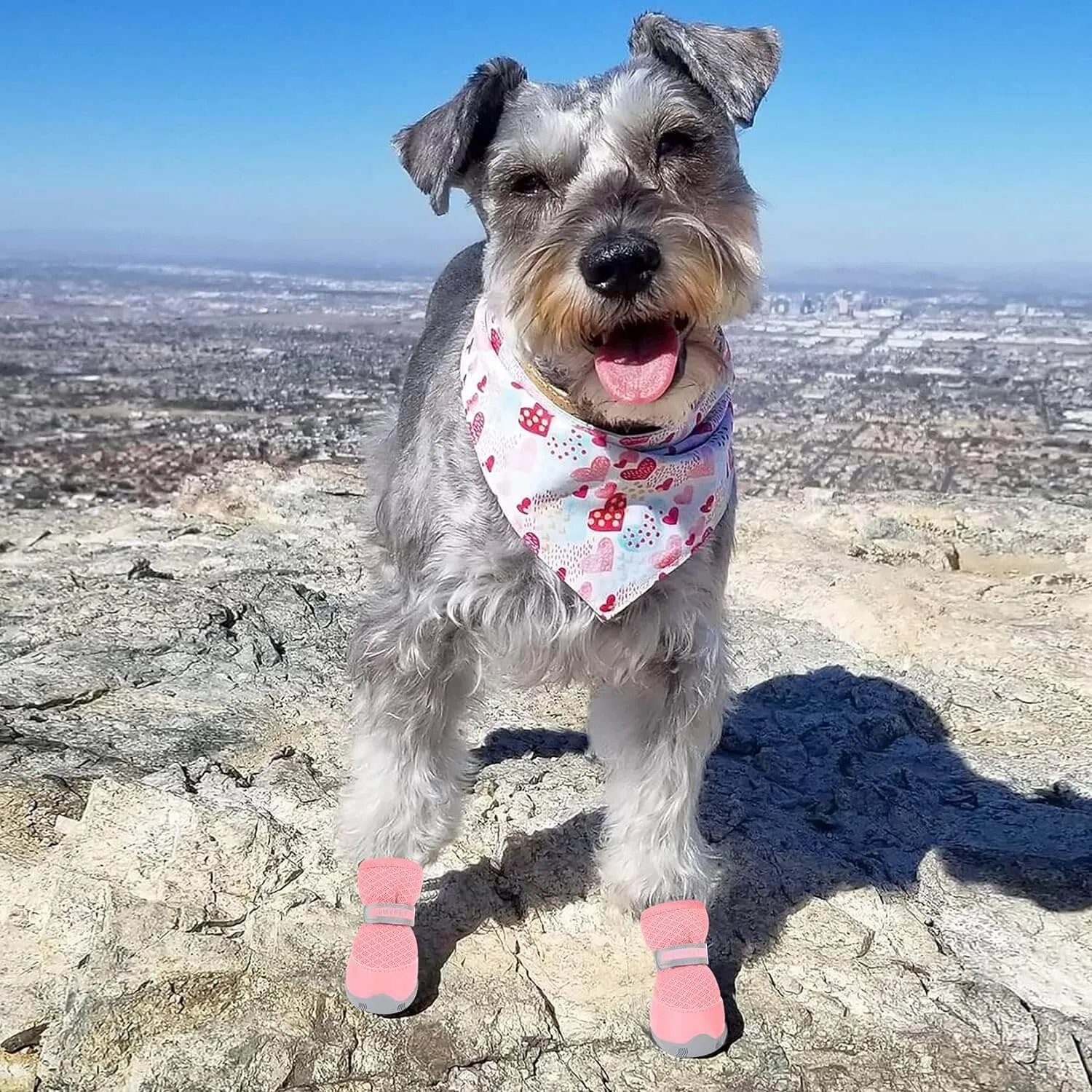 QUMY 4PCS Dog Shoes for Small Dogs