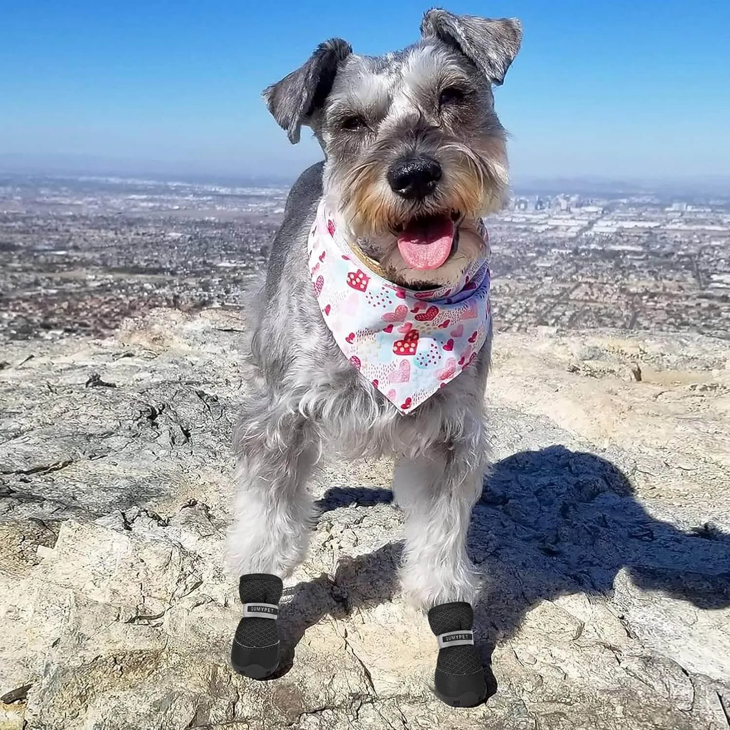QUMY 4PCS Dog Shoes for Small Dogs