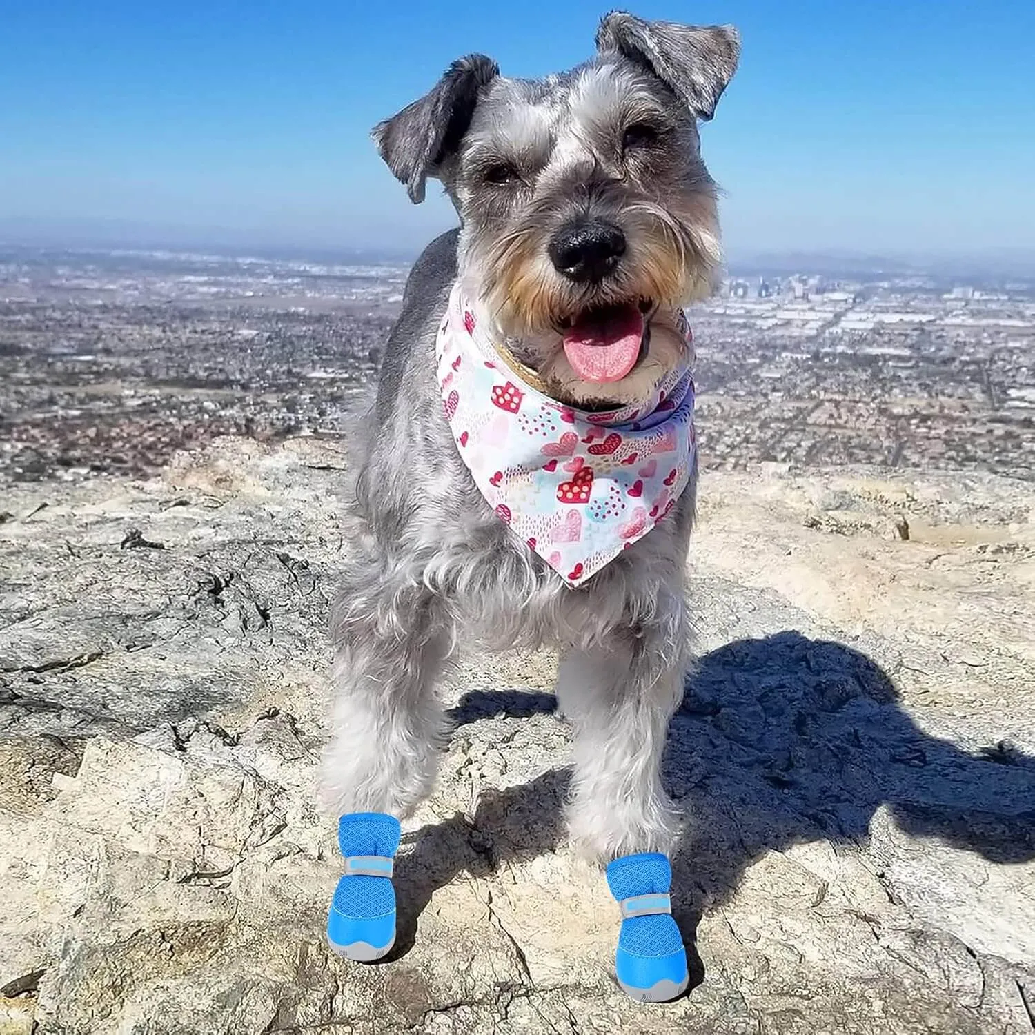 QUMY 4PCS Dog Shoes for Small Dogs