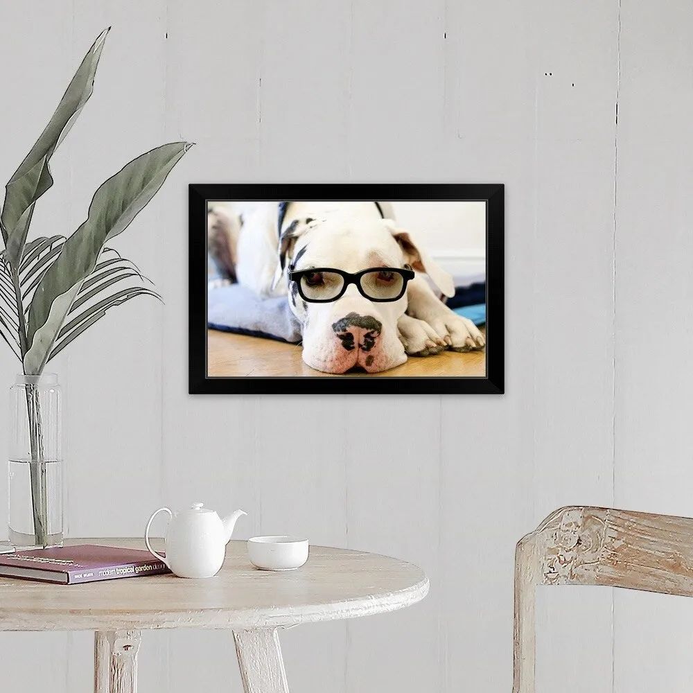 "Great Dane wearing sunglasses" Black Framed Print