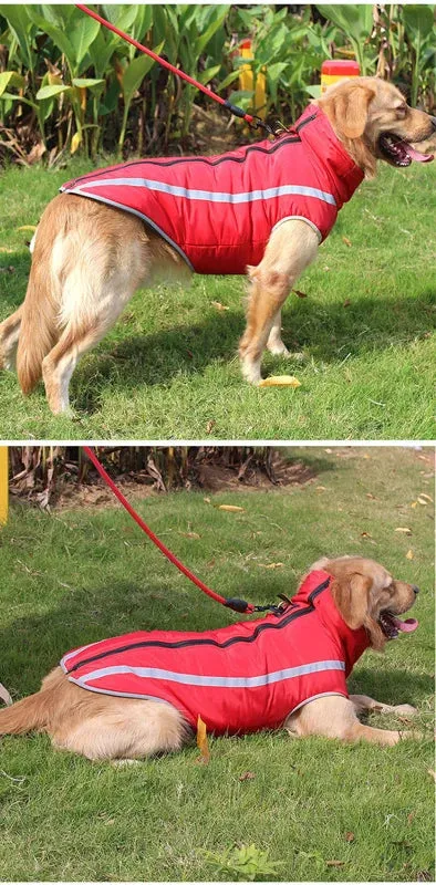 Reflective Waterproof Winter Dog Jacket for Large Breeds