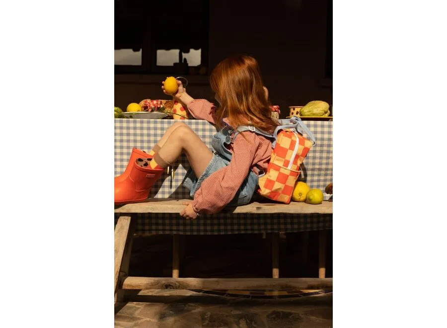 Small Farmhouse Checkerboard Backpack - Pear Jam   Ladybird Red by Sticky Lemon