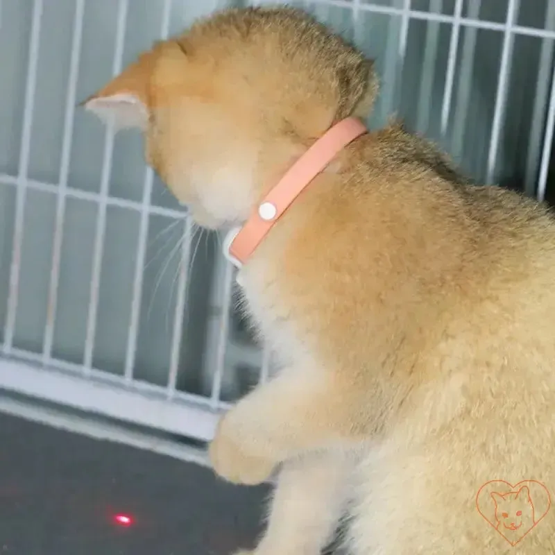 Smart Laser Cat-Teasing Collar - Rechargeable Interactive Toy
