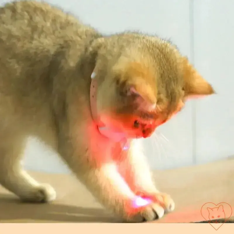 Smart Laser Cat-Teasing Collar - Rechargeable Interactive Toy