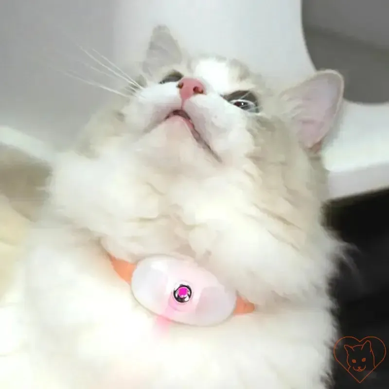 Smart Laser Cat-Teasing Collar - Rechargeable Interactive Toy