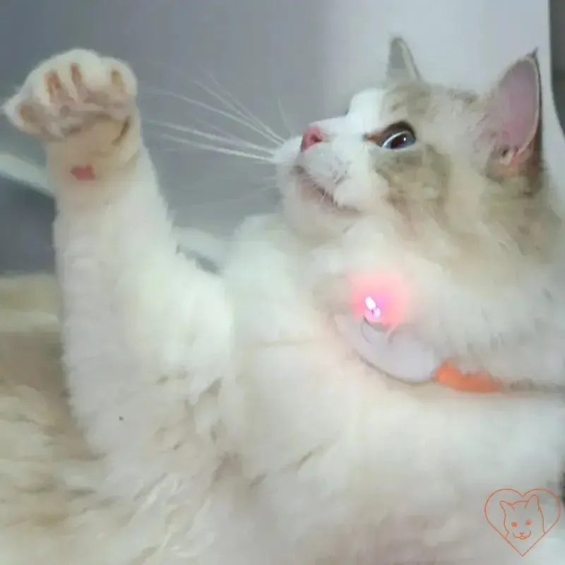 Smart Laser Cat-Teasing Collar - Rechargeable Interactive Toy