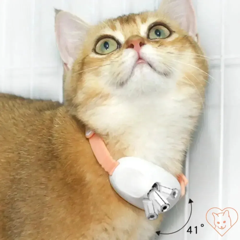 Smart Laser Cat-Teasing Collar - Rechargeable Interactive Toy