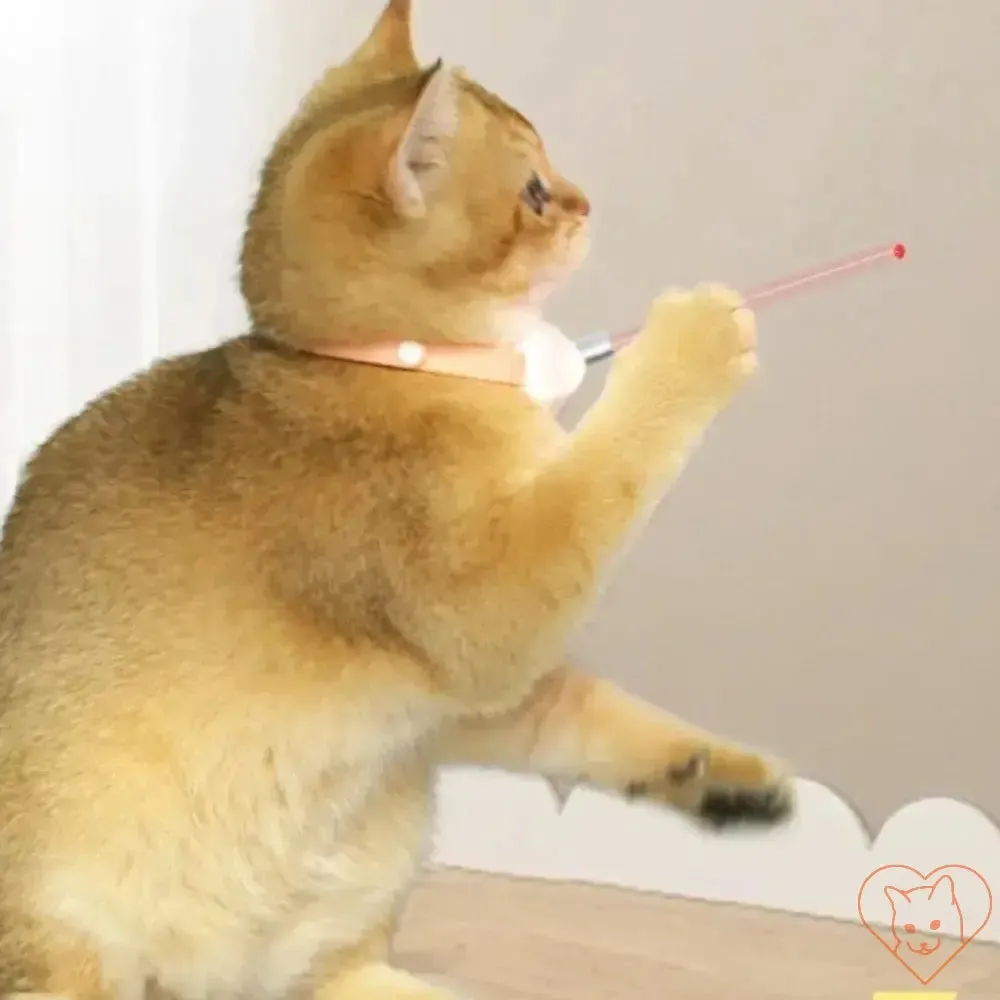 Smart Laser Cat-Teasing Collar - Rechargeable Interactive Toy
