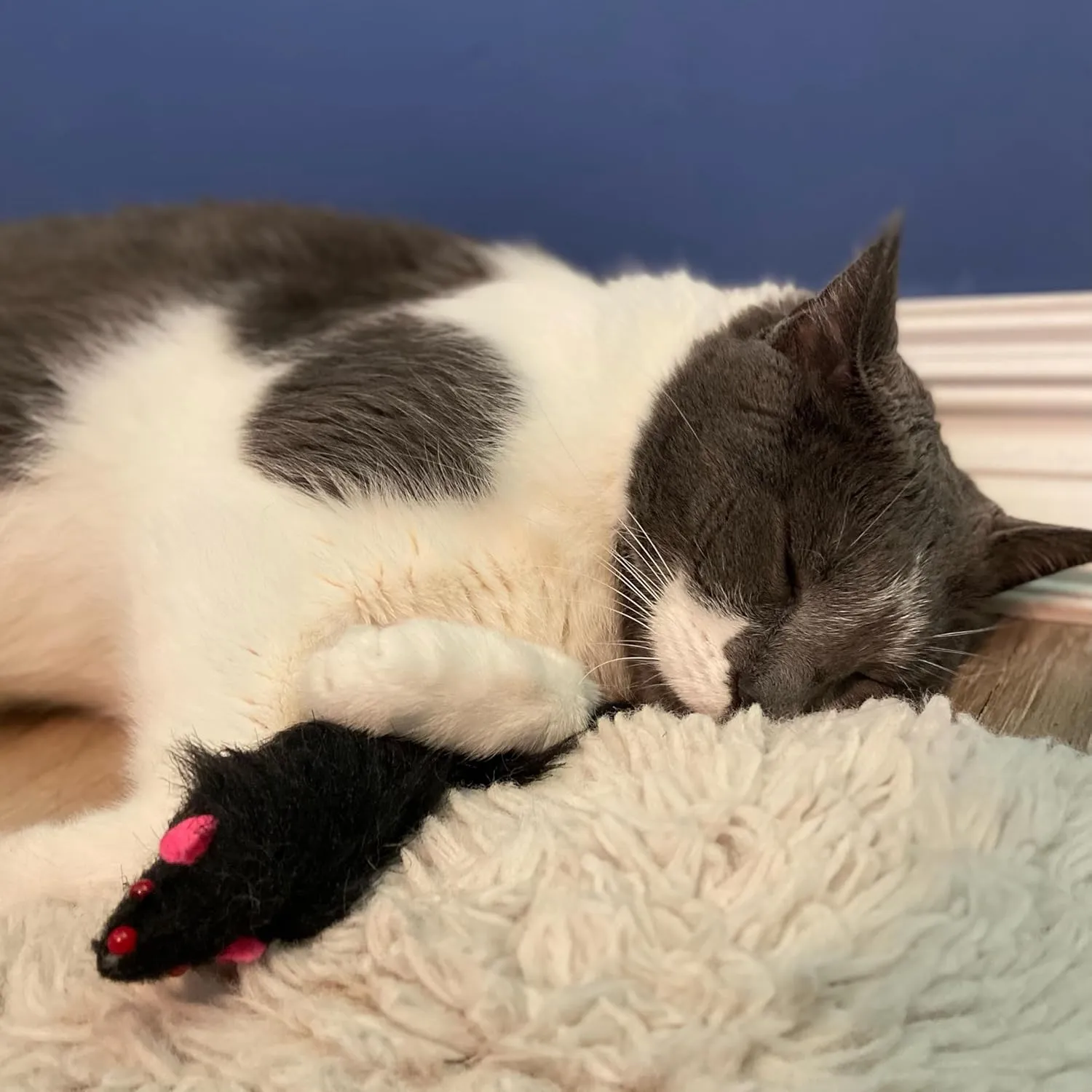 SPOT Shaggy Plush Ferret - Interactive Rattle and Catnip Fuzzy Toy for Indoor Cats and Kittens, Large Size Perfect for Pouncing, Chasing, Hunting, 11 Inches