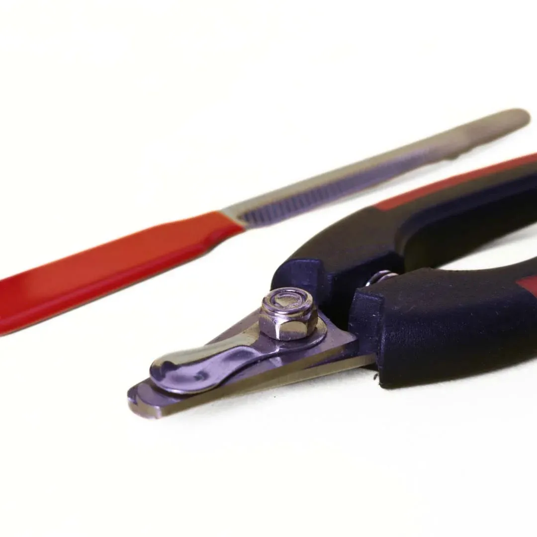Stainless Steel Tool Nail Clipper Cutter with Nail Filer