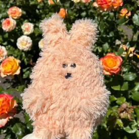 Stuffed Animal Courage Bunny
