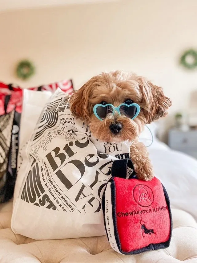 Tiny Dog Heart Sunglasses in Turquoise