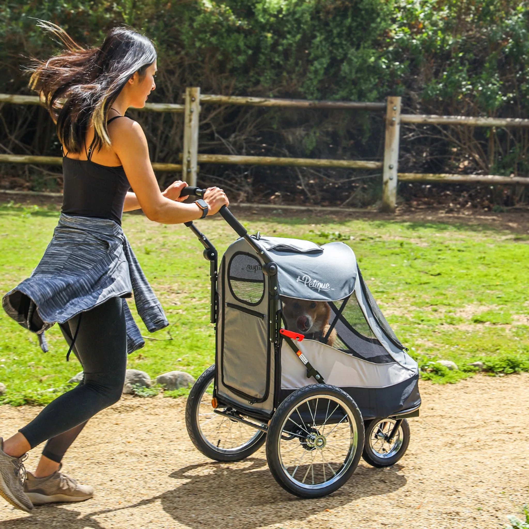 Trailblazer Pet Jogger - Atlas
