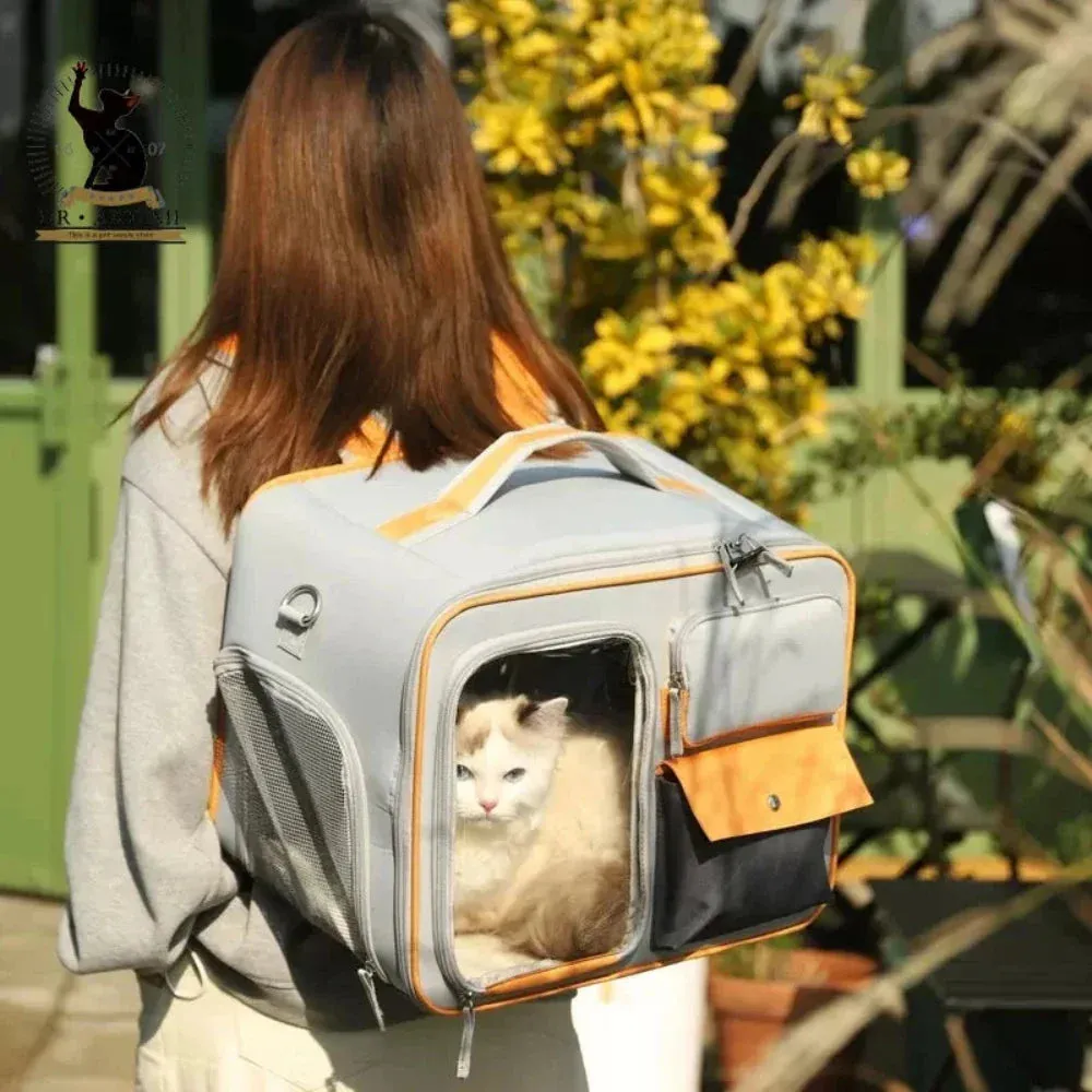 Transparent Breathable Pet Travel Backpack
