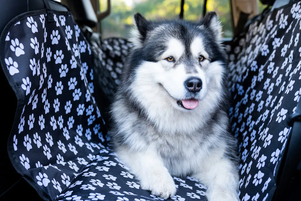 Waterproof Pet Car Seat Cover Black or Blue
