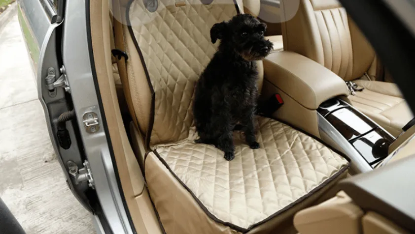 Waterproof Pet Seat Cover: Ultimate Protection For Your Car
