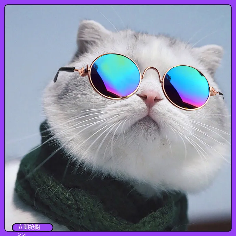 Wholesale Funny pet supplies cats and dogs sunglasses