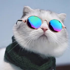 Wholesale Funny pet supplies cats and dogs sunglasses